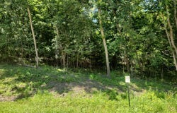 Cedar Beach Drive NW, Oronoco, MN 55960