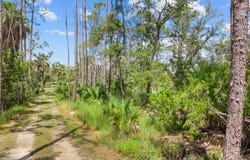 8 NE Fourth St, Steinhatchee, FL 32359