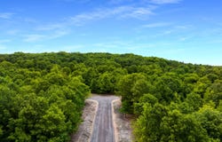 Sadie Ln, Bear Lake, MI 49614