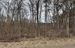 Fisher Ridge Road, Fleming, OH 45729