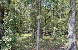1209 Pine Drive, Haskell, AR 72015