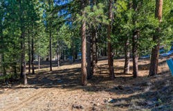 1348 Red Sky, Portola, CA 96122