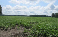 Capac Road, Armada, MI 48005