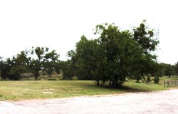 TBD 000 Clear St, San Saba, TX 76877