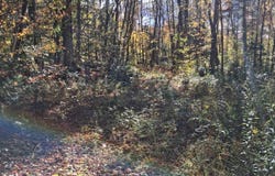 Oak Lane, Eden, VT 05652