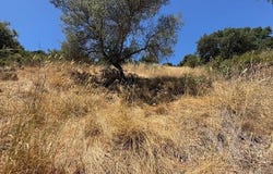 Coleman Drive, San Rafael, CA 94901