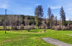 3564 Long Prairie Rd, Valley, WA 99181