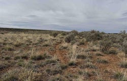12040 Road N, Cahone, CO 81320