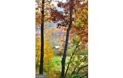77 Denali Drive, Clayton, GA 30525