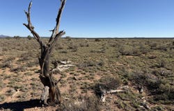 1976 E Collins Court, Williams, AZ 86046