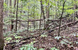 Lexington Dr, Saint Albans, WV 25177