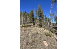 66 Piegan Ct, Red Feather Lakes, CO 80545
