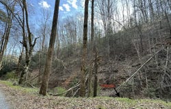 Hobe Maples Way, Sevierville, TN 37876