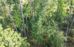NW 30TH CT, Jasper, FL 32052