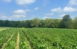 720 CR 1350 N, Sullivan, IL 61951