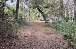 NE 752nd St, Old Town, FL 32680