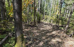 17 National Trail, Crandon, WI 54520