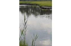 3347 RIDGE RD, CHINCOTEAGUE, VA 23336
