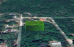 NE 165TH Street, Silver Springs, FL 34488