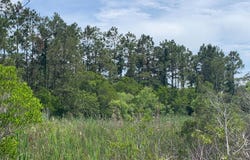 7552 Shipyard Road, Manns Harbor, NC 27953-9999