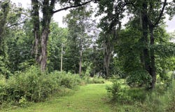 5124 Storage Road, Hollywood, SC 29449