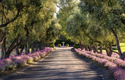 1620 Westerly Road, SANTA YNEZ, CA 93460