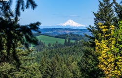 SW Mountainside Dr, Cornelius, OR 97113