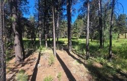 17040 ISLAND LOOP Way, Bend, OR 97707