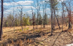 911 Spearhead Cir, Clarkrange, TN 38553