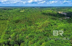 Loree Road, Evergreen, AL 36401