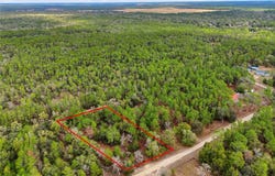 NE 111TH Lane, BRONSON, FL 32621