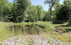 Garland Road, Henderson, TN 38340