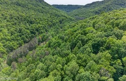 1041 E Obey Lane, Wilder, TN 38589