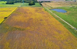 US 169 Highway, King City, MO 64463