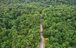 County Road 535, Jackson, MO 63755