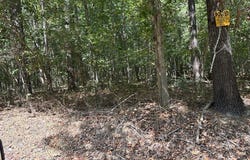 Camp Oliver Rd, Adger, AL 35006