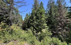 White Cloud Drive lot: 6, Sandpoint, ID 83864