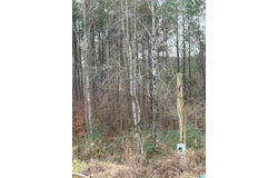 TEAL DRIVE lot: 0, HAYDEN, AL 35079