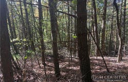 Eagles Nest Lane lot: #24, Glade Valley, NC 28627
