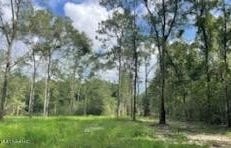 Tanner Williams Rd -Parcel 1, Lucedale, MS 39452