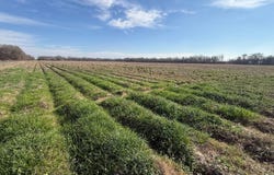Earl Medlin Rd, Rayville, LA 71269
