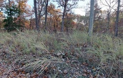 4268 Saw Mill Road, Stover, MO 64078