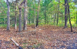 2679 S State, Chase, MI 49623