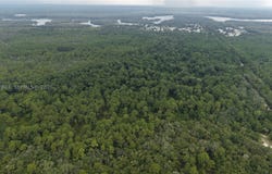 162 Carriage Pl, FL 32189