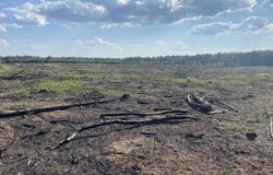 GENTRY RD, Star City, AR 71667