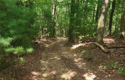 Lyons Road, Roaring Gap, NC 28668