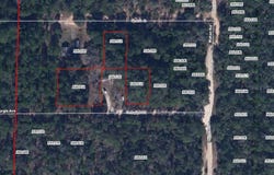 GEORGIA Avenue, INTERLACHEN, FL 32148