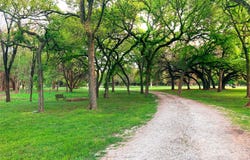 110 County Road 4270, Clifton, TX 76634