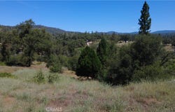 390 Darby, Bangor, CA 95914