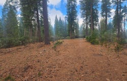 Waterleaf Lane, Shingletown, CA 96088